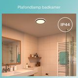 Philips Funktional Deckenleuchte, LED, Nicht austauschbare(s) Leuchtmittel, 1300 lm, IP44, Schwarz