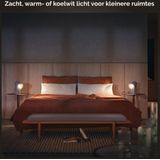 Philips Hue Slimme Lichtbron E27 Duopack - warm tot koelwit licht - 8,5W - Bluetooth - 2 Stuks