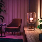 Philips Hue White and Color E27 800lm Duo pack