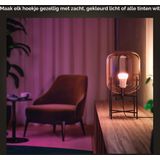 Philips - Hue Slimme Lichtbron - Wit en Gekleurd Licht - 6.5W - Duopack - 2 Stuks