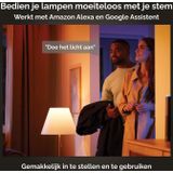 Philips Hue Being plafondlamp White Ambiance aluminium Bluetooth incl. 1 dimmer switch