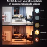Philips Hue Fair hanglamp - warm tot koelwit licht - zwart - 1 dimmer switch