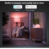 Philips Hue - Slimme Stekker - Wit - Compact Ontwerp
