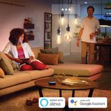 Philips Hue Filamentlamp White Edison E27 - 2023