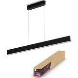 Philips Hue Ensis Hanglamp White and Color Ambiance Zwart 2 x 39W Bluetooth