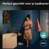Philips Hue Xamento inbouwspot - White and Colour Ambiance - GU10 - Zilver - IP44 - 1 spot - Bluetooth