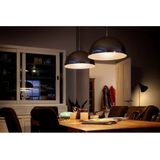 Philips 8719514361324 LED-lamp Warm wit 2700 K 6,5 W E27 E