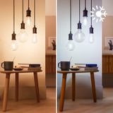 Led-glühbirne st64 Philips 7w e27 2700/6500k wiz connected - 37224500