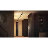 Philips Hue Perifo - Rail - Zwart - 1 meter