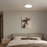 Philips Mauve plafondlamp - rond - groot - met sensor