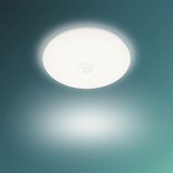 Philips Mauve plafondlamp - rond - klein - met sensor