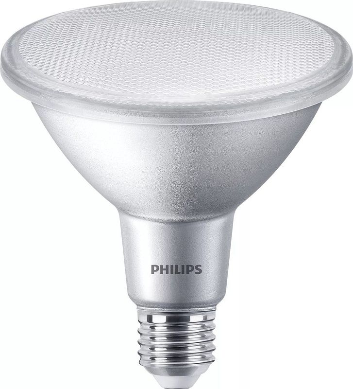 Philips - PAR Reflector Lamp - RVS - Warm Wit Licht - E27