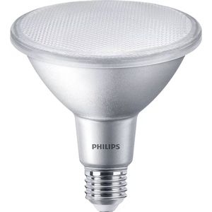 LED PAR Lamp - RVS - Warm Wit Licht - Dimbaar - E27 Fitting