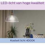 Philips - Classic LED E27 Lamp - 2 Stuks - Energiezuinig - EyeComfort
