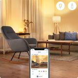 WiZ Kaarslamp 2-pack - Slimme LED-Verlichting - Gekleurd en Wit Licht - E14 - 40W - Mat - WiFi