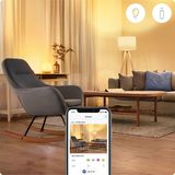 WiZ Imageo Opbouwspot- Slimme LED-Verlichting - Warm- tot Koelwit Licht - GU10 - Zwart - 1x 5W - WiFi