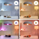 WiZ - Imageo - Plafondlamp - Zwart - Slimme LED - GU10 Fitting - 1x 5W