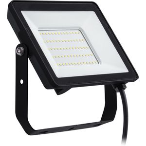 Philips ProjectLine straler 50W koel wit licht 4000K