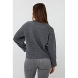 Esqualo Dames trui grijs (Maat: XS) - Effen - Halslijn: Ronde hals,