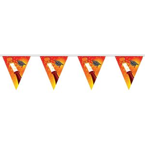 Geslaagd/afgestudeerd puntvlaggenlijn/slinger champagne 5 meter feestversiering