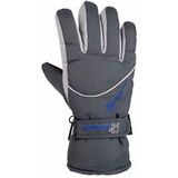 Winter handschoenen Starling grijs voor volwassenen
