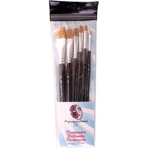 Carnaval platte schmink penselen - 6x - synthetisch - diverse formaten - professioneel
