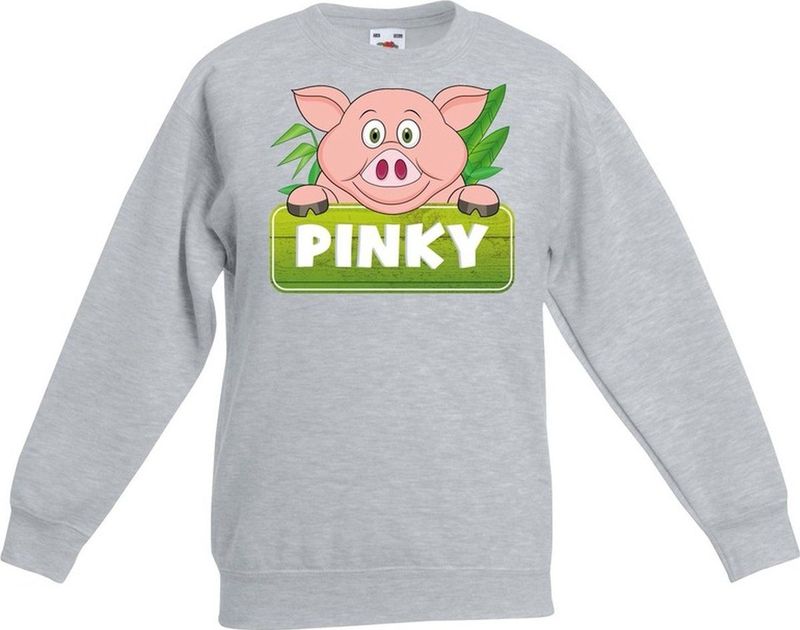 Pinky de big sweater grijs voor kinderen - unisex - varkentje trui - kinderkleding / kleding