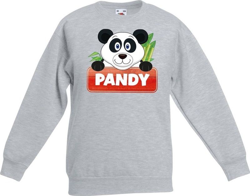 Bellatio Decorations - Pandy de Panda - Sweater - Grijs - Katoen - Unisex