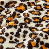 Apollo - Ballerina Pantoffels - Bruin - Luipaard Print - Dames