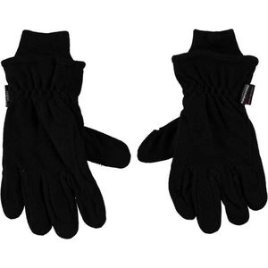 Zwarte thermo heren handschoenen - Handschoenen - volwassenen