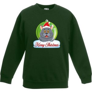 Kersttrui Merry Christmas grijze kat / poes kerstbal groen jongens en meisjes - Kerstruien kind 152/164