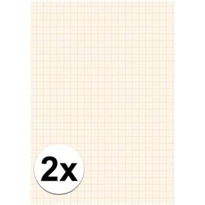 A4 papier met millimeter blokken - 2x - 25 vellen - 80 gram - blokjes papier