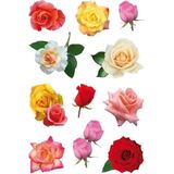 99x Gekleurde rozen bloemen stickers - kinderstickers - stickervellen - knutselspullen