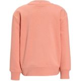 Anytime - Meisjes Sweater - Roze - Katoenmix - Printopdruk met Puff Details