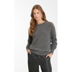Anytime - Trui - Grijs/Zilver - Lurex - Lange Mouwen