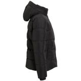 Anytime - Korte Gewatteerde Jas - Zwart - Polyester - Capuchon met Panterprint