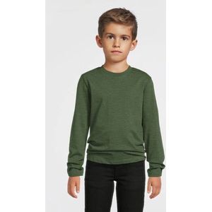 Anytime - Value - Longsleeve - Groen Melange