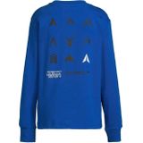 Coolcat - Longsleeve - Blauw - Met Printopdruk - Voor Jongens
