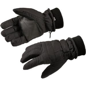 Gloves&Co Thinsulate ski handschoen 2.0 - heren - zwart - maat XL