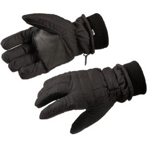 Gloves&Co Thinsulate skihandschoenen - dames pasvorm - zwart - maat S