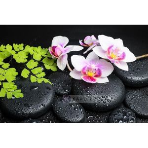 Afbeelding op acrylglas - Zen stenen met orchidee, inspiratie