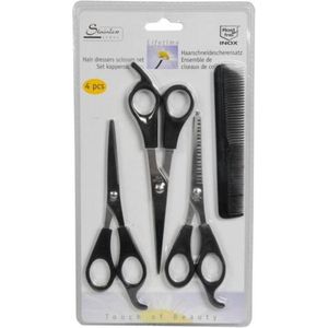 Basic Kappersset | 4 Delig | RVS