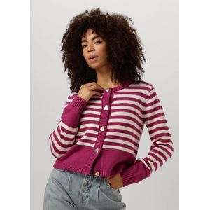Vesten - Gestreept - Knitwear - Ronde Hals - Lange Mouw