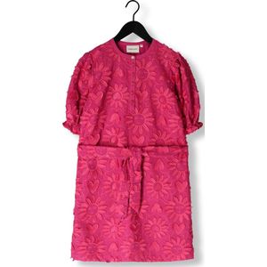 Fabienne Chapot, Dames, Jurken, Roze, Maat: XS Katoen,