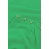 Fabienne Chapot Trui - Molly Scrunch - Groen - Dames