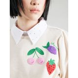 Fabienne Chapot - Tina Sweater - Trui - Multikleur - Katoen