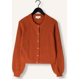 Fabienne Chapot - CLTCAR09AW252314 - Cardigan - Burnt Sugar