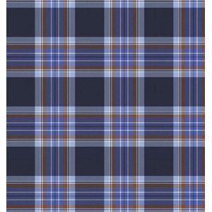 Campbell - Casual Overhemd - Blauw Ruit - Katoen