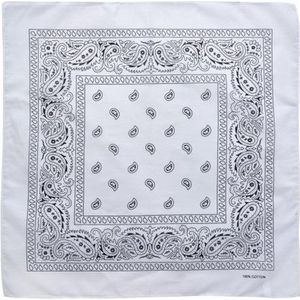 Haarband Bandana Zakdoek Paisley Print Wit