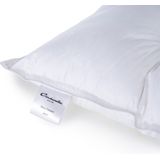 Cinderella New Classic Soft Hoofdkussen Zacht Polyester Vulling Katoenen Tijk